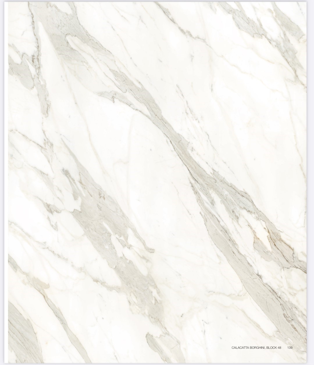 Anatolia Porselen Calacatta Borghini