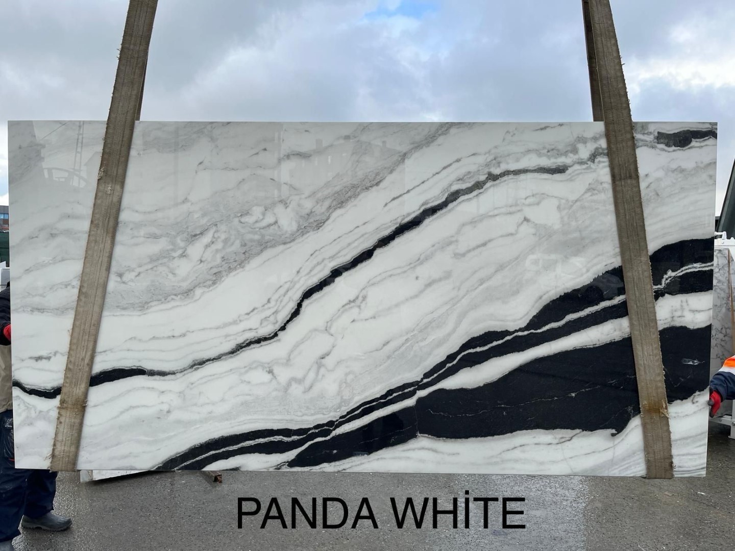 Anatolia Porselen Panda